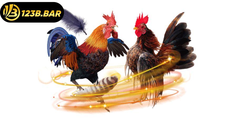 Sảnh game đá gà 123b với tiền thưởng cực khủng