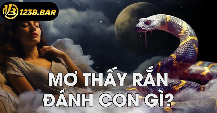 Mơ thấy rắn đánh con gì?